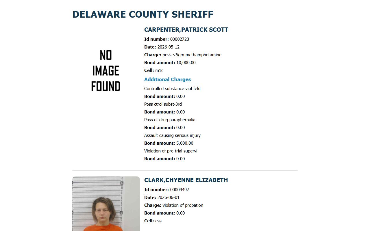 Delaware County inmate population current roster widget with booking fields